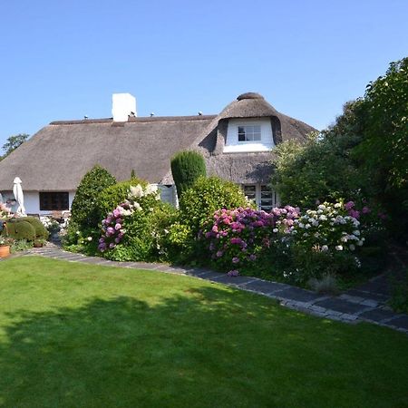 Strandnelke Westerland Bagian luar foto