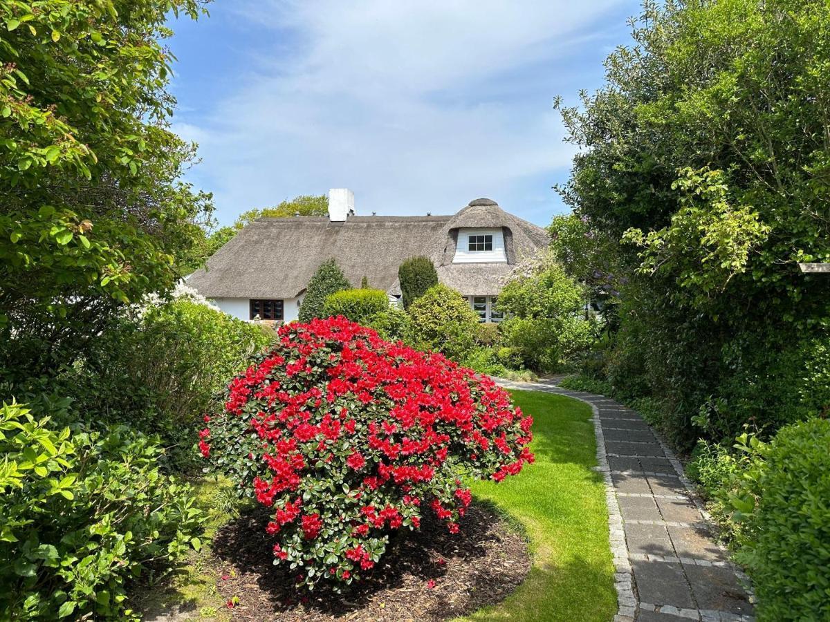 Strandnelke Westerland Bagian luar foto