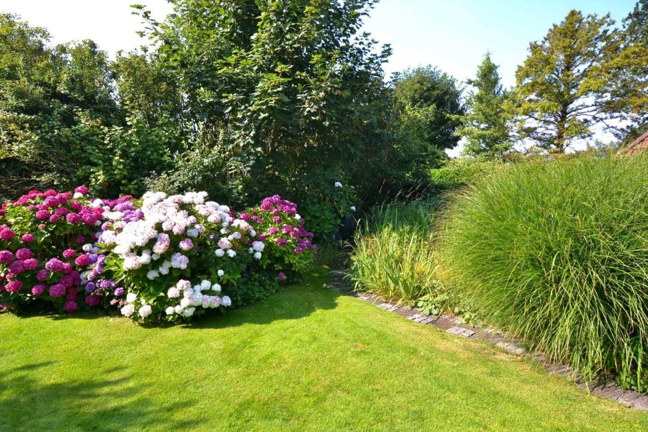 Strandnelke Westerland Bagian luar foto